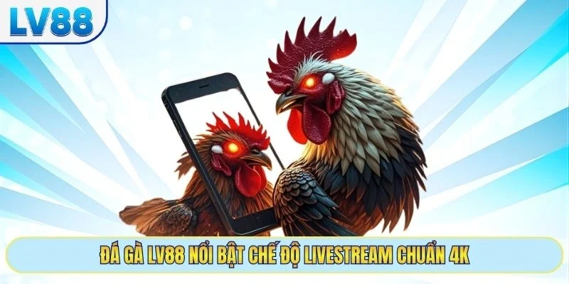 Đá gà LV88 nổi bật chế độ livestream chuẩn 4K